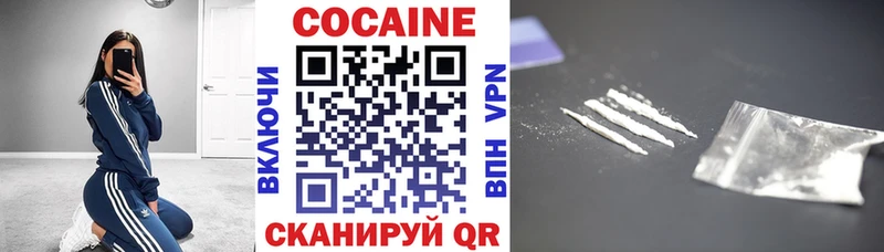 сколько стоит  Пудож  mega ССЫЛКА  Cocaine 99% 
