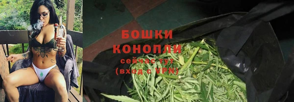 прущие грибы Всеволожск