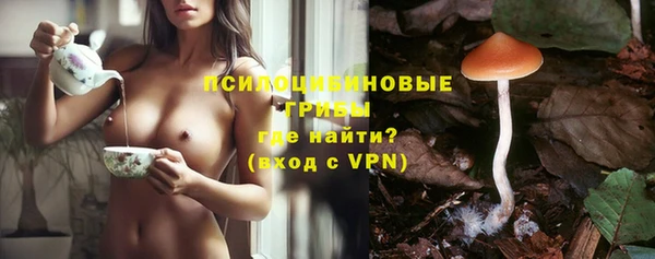 apvp Вуктыл