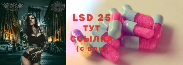 apvp Вуктыл