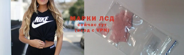 прущие грибы Всеволожск
