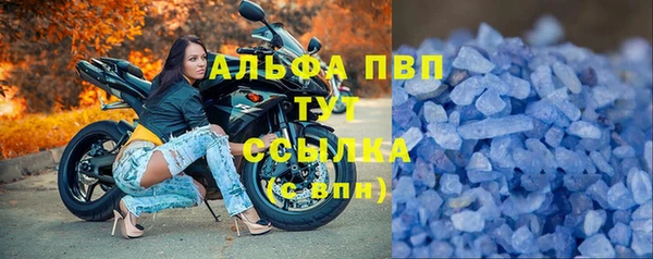 прущая мука Пересвет