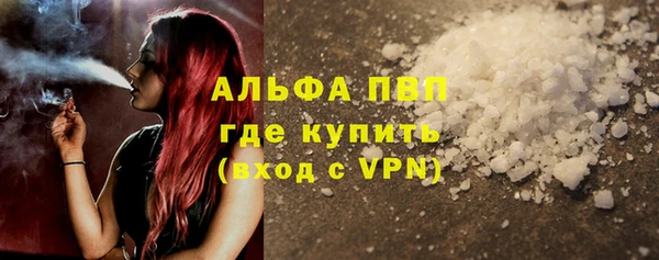 прущие грибы Всеволожск
