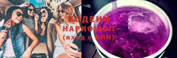 прущие грибы Всеволожск