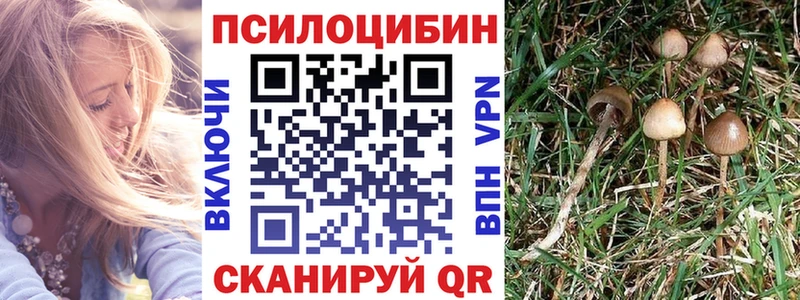 даркнет клад  Пудож  Галлюциногенные грибы мицелий 
